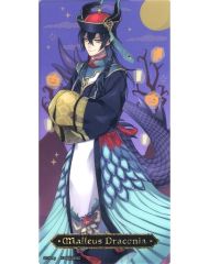 [중고] 책 표지 · 栞 마레우스 · 드라코니아 홀로그램 금박 눌러 BIG 클리어 책갈피 [디즈니 트위스티드 원더랜드] 애니메이트 걸스 페스티벌 2023 상품 구입 특전
