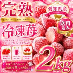 国産冷凍いちご 14kg 完熟紅ほっぺ＊送料無料 - メルカリ