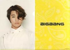 [중고] 클리어 파일(남성 아이돌) [단품] 14.D-LITE A4 클리어 파일 [BIGBANG 복권] 클리어 파일 세트상