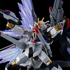 [신품] HG 1/144 스트라이크 프리덤 건담 승식 & 빛의 날개 이펙트 세트 기동 전사 건담 SEED FREEDOM 조립식 플라스틱 모델