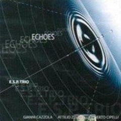 LOSTAGE ECHOES LP アナログ レコード - メルカリ