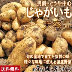 種芋】普賢丸 じゃがいも種芋3個セット！ほくっとやさしい甘み♡作り