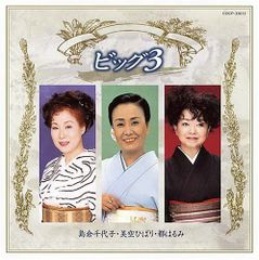 菊池ひみこ フライング・ビーグル レコード LP メガジャケ付き 新品未