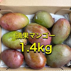 沖縄県産 摘果マンゴー 青マンゴー グリーンマンゴー1.4kg - メルカリ