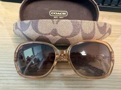 美品COACH コーチサングラスARIEL レディースブラウンシグネチャー