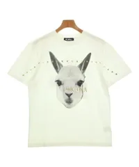 Loro Piana Tシャツ・カットソー メンズ 【古着】【中古】【送料無料】のサムネイル