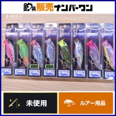 REAL FISHER 烏賊ラバ100g オススメ6カラー - メルカリ