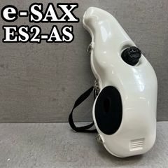 アルトサックス用 e-Sax TypeⅡ 消音ケース - メルカリ