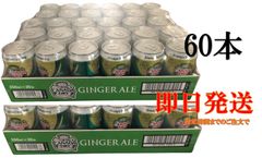 カナダドライ ジンジャーエール 業務用ディスペンサー用シロップ