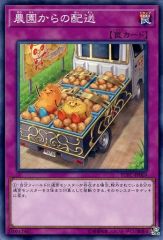 [중고]유희왕 YCPC-JP003[N]:농원으로부터의 배송