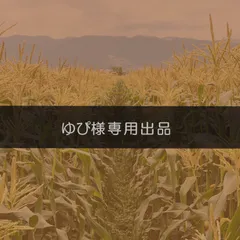 【ゆぴ様専用／常温】甘ぁ～い自慢のスイートコーン