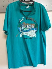90s USA製 Hanes 発泡プリント Tシャツ シングルステッチ グレー