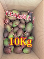 大15kg沖縄県産 摘果マンゴー(お漬物用）60g～日々肥大 - メルカリ