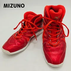 ミズノ MIZUNO WAVE DIVERSE LG3 フィットネスシューズ ウエーブダイバース LG3 24.5cm レッド 赤 K1GF167160 人工皮革 レディース 中古  レースアップ ジム トレーニング hws02631のサムネイル
