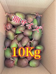 大容量10Kg 青マンゴー（摘果マンゴー）沖縄産 Green Mango - メルカリ
