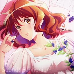 響け！ユーフォニアム スタンドビジュアルカード 入場者特典 黄前