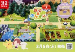 【中古】販促品 販促冊子)NS2 ぽこあポケモン