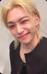 【中古】コレクションカード(男性) Stray Kids/フィリックス(Felix)/「Stray Kids OFFICIAL FANCLUB STAY JAPAN」2026年度更新特典フォトカード