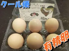 【品質検査済】放し飼い 烏骨鶏卵 6個｜無洗卵に近い濃厚卵｜六甲山系育ち【クール便】のサムネイル