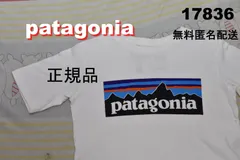パタゴニア Tシャツ 綿100％ 17836 正規品 patagonia 00のサムネイル