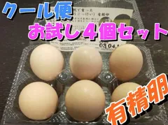 【品質検査済】放し飼い 烏骨鶏卵 ４個｜無洗卵に近い濃厚卵｜六甲山系育ち【クール便】のサムネイル
