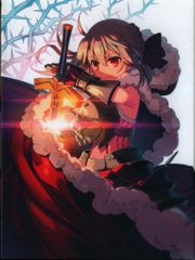 애니메이션 Blu-ray 극장판 Fate/kaleid liner 프리즈마☆이리야 Licht 이름이 없는 소녀 한