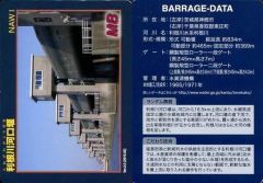 中古】キャラカード 全2種セット 特製 e-amusement passカード