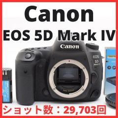デジタル一眼レフカメラ Canon EOS 5D Mark IV望遠レンズセット - メルカリ