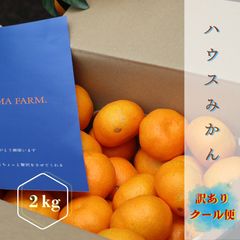 キンカン500g、広島県産農家直送家庭用サイズ混合農薬不使用コンビニ