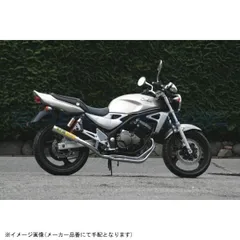 RPM アールピーエム 1663-01 RPM-67Racing BALIUS-2(’97-’98) サイレンサーカバー アルミ エキゾースト スチールメッキのサムネイル
