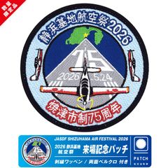 航空自衛隊 新田原基地 F-35B 臨時飛行隊 59-8201 配備記念 パッチ