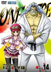 [중고 - 아주 좋은] ONE PIECE 원피스 17TH 시즌 드레스 로자 편 piece.14 [DVD]