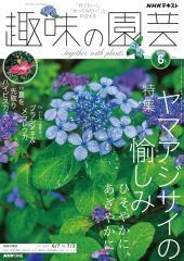 中古】アクリルスタンド・アクリルパネル 廣岡大志#32(読売