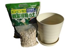 植木鉢 A-25 2.5号プラ鉢多肉植物用 175個+専用トレー8枚セット 中古