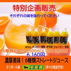 6種類詰め合わせジュース500ml×12本 濃縮還元してません - メルカリ
