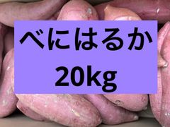 熊本県産さつまいも 紅はるか 自然栽培 20kg 専用ページ来週木曜以降