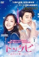 トッケビ～君がくれた愛しい日々～」 DVD 全15巻完結セット 韓国ドラマ