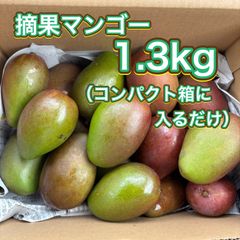 ハ*ー様 沖縄県産 摘果マンゴー 青マンゴー 20kg オークション3 沖縄県産 摘果マンゴー 青マンゴー グリーンマンゴー1.3kg - メルカリ