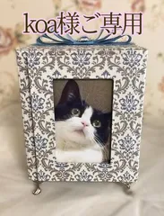 koa様　ご専用のページです☆