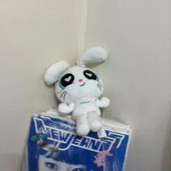 2026年最新】newJeans ぬいぐるみ パワパフの人気アイテム - メルカリ