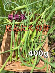 農薬不使用 京都産里芋 親芋 10kg ほくほく美味しい - メルカリ
