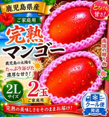 鹿児島県産 ご家庭用完熟マンゴー 2L 3玉 - メルカリ
