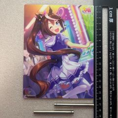 ぺ*こ様 【100名限定プレミア品】ZONE ウマ娘 トウカイテイオー　アクリル トウカイテイオー アクリルプレート Vol.9 ウマ娘 No.45 - メルカリ