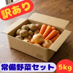 九州産 訳あり 野菜詰め合わせ 5kg 常備野菜セット じゃがいも 玉ねぎ 人参 送料無料 送料無料 野菜詰め合わせのサムネイル