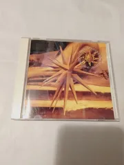 CD】 ハウンド・ドッグ / FAVORITE THINGS HOUND DOG BEST 1987-1992のサムネイル