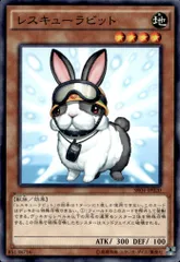 2026年最新】レスキューラビットの人気アイテム - メルカリ
