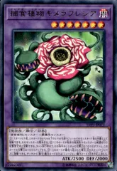 捕食植物キメラフレシア【3枚セット】