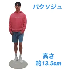 パクソジュン アクリルスタンド フィギュア 韓流 グッズッズ fj015-14nのサムネイル