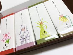 サンダースペリー 基本6セット 新品未使用 - メルカリ