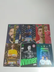 スポーツ Panini パニーニ カード まとめ 出品